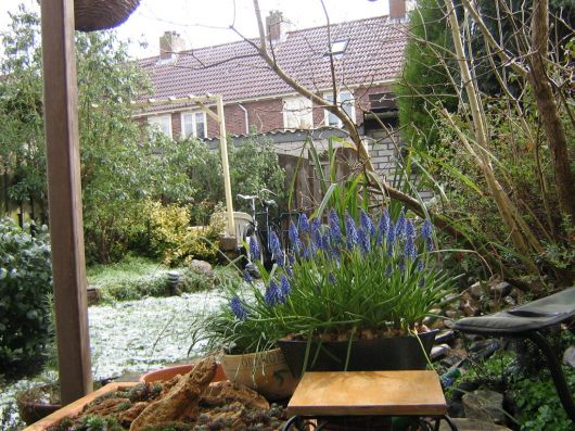 vanuit de keuken/bijkeuken 