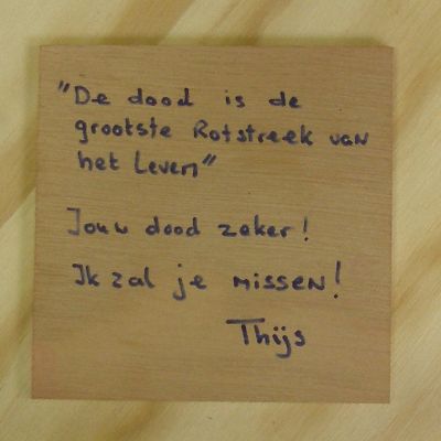 houtje thijs